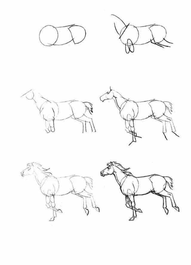 简笔画教程，50个马的画法！