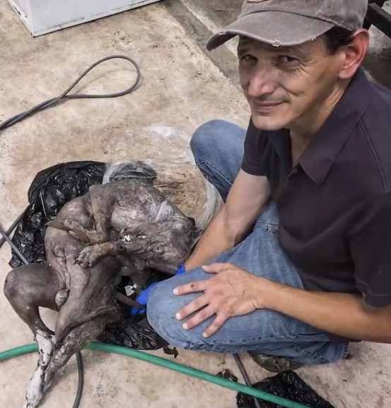 美国农夫终于捕获一只卓柏卡布拉，原来吸血猛兽真的存在