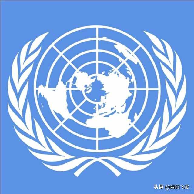 联合国（头条名词汇）