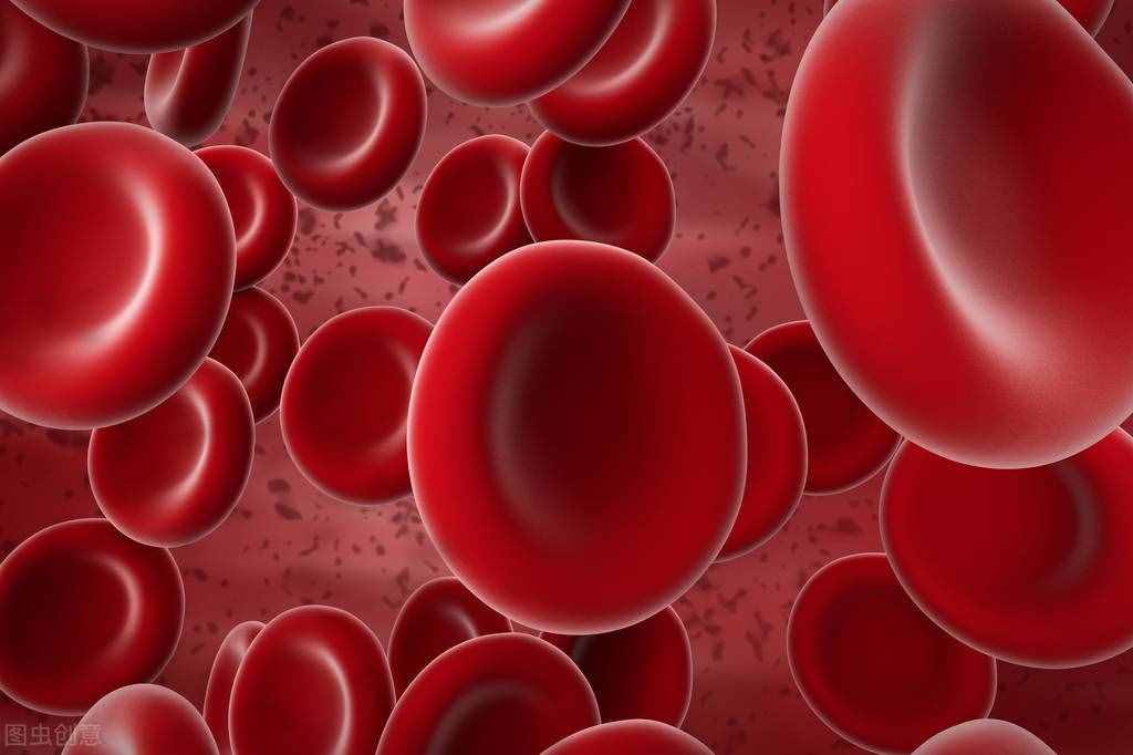 红细胞的作用（促红细胞生成素）