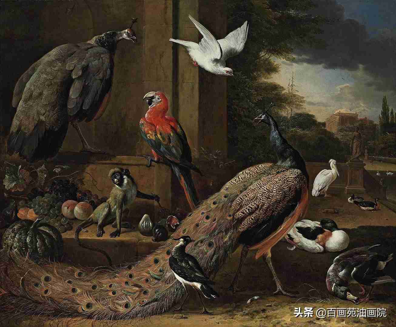 油画动物欣赏——Melchior·d'Hondecoeter