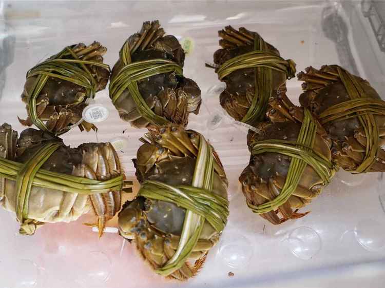 吃蟹季节到，大闸蟹买多了，怎么保存？大闸蟹怎么才做好吃？