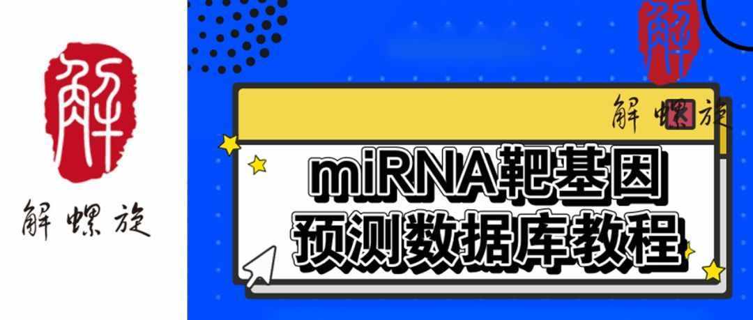mirna靶基因分析（常用microRNA靶基因预测工具）