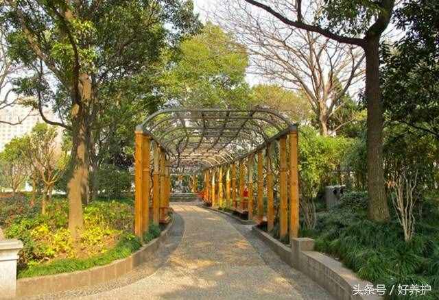 上海好玩的公园（上海值得一去的18个公园）