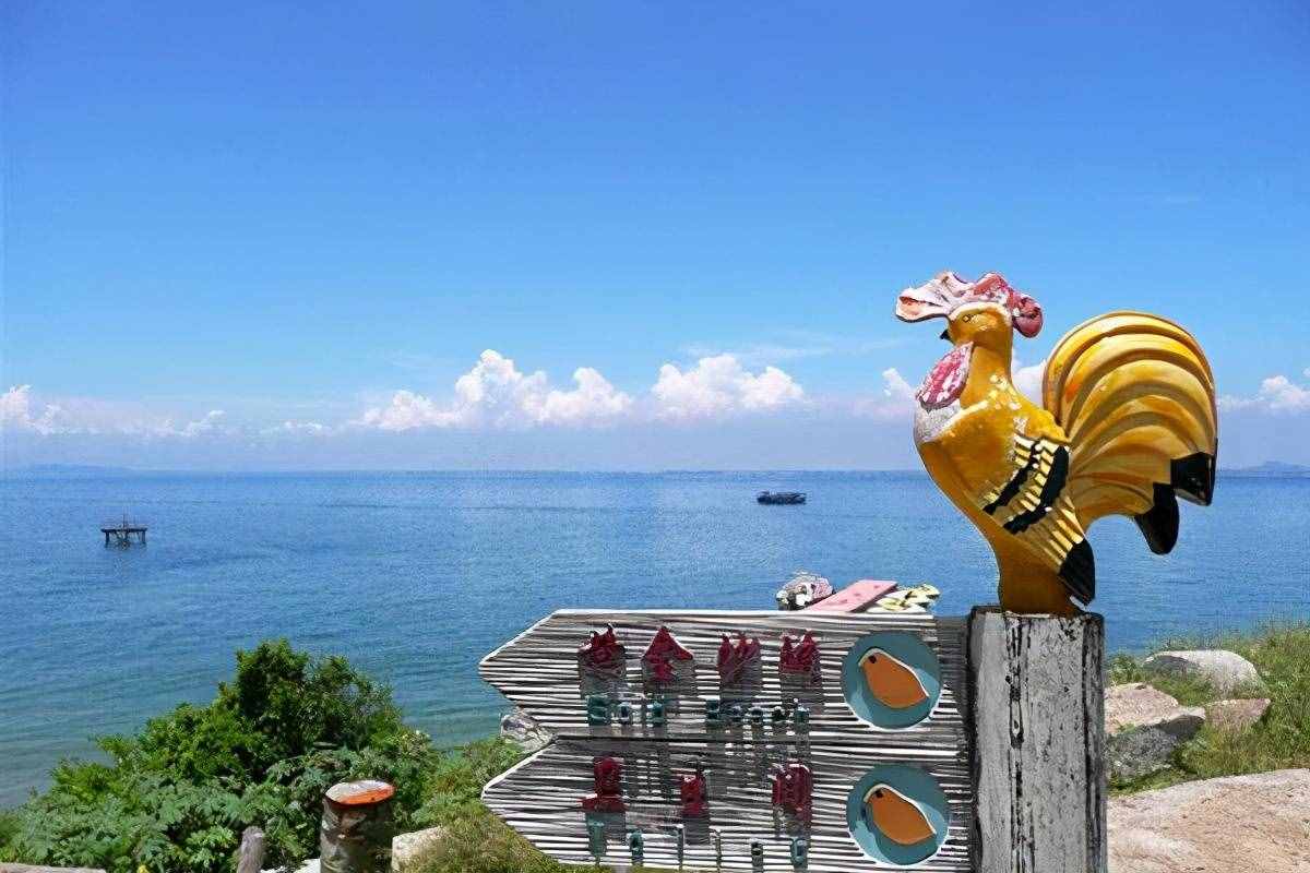 广东茂名电白放鸡岛旅游攻略