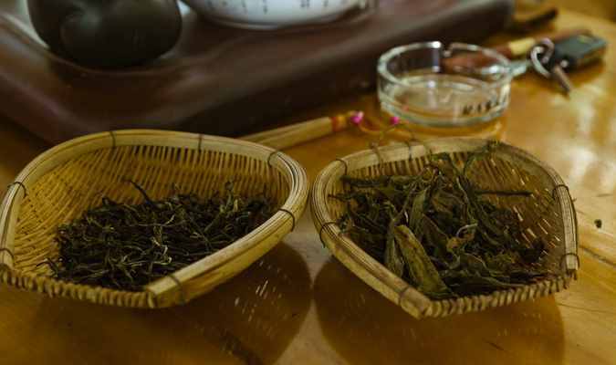寻访：“茶黄金”—中国十大名茶之一，普洱冰岛大片古树茶产地